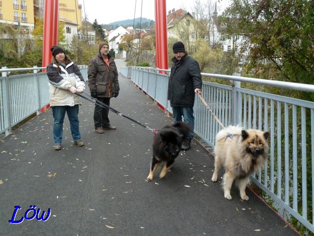 1.11.2019 - Über die Murbrücke